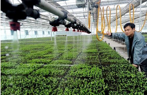 상업적 재배에서 자동화된 온실의 이점