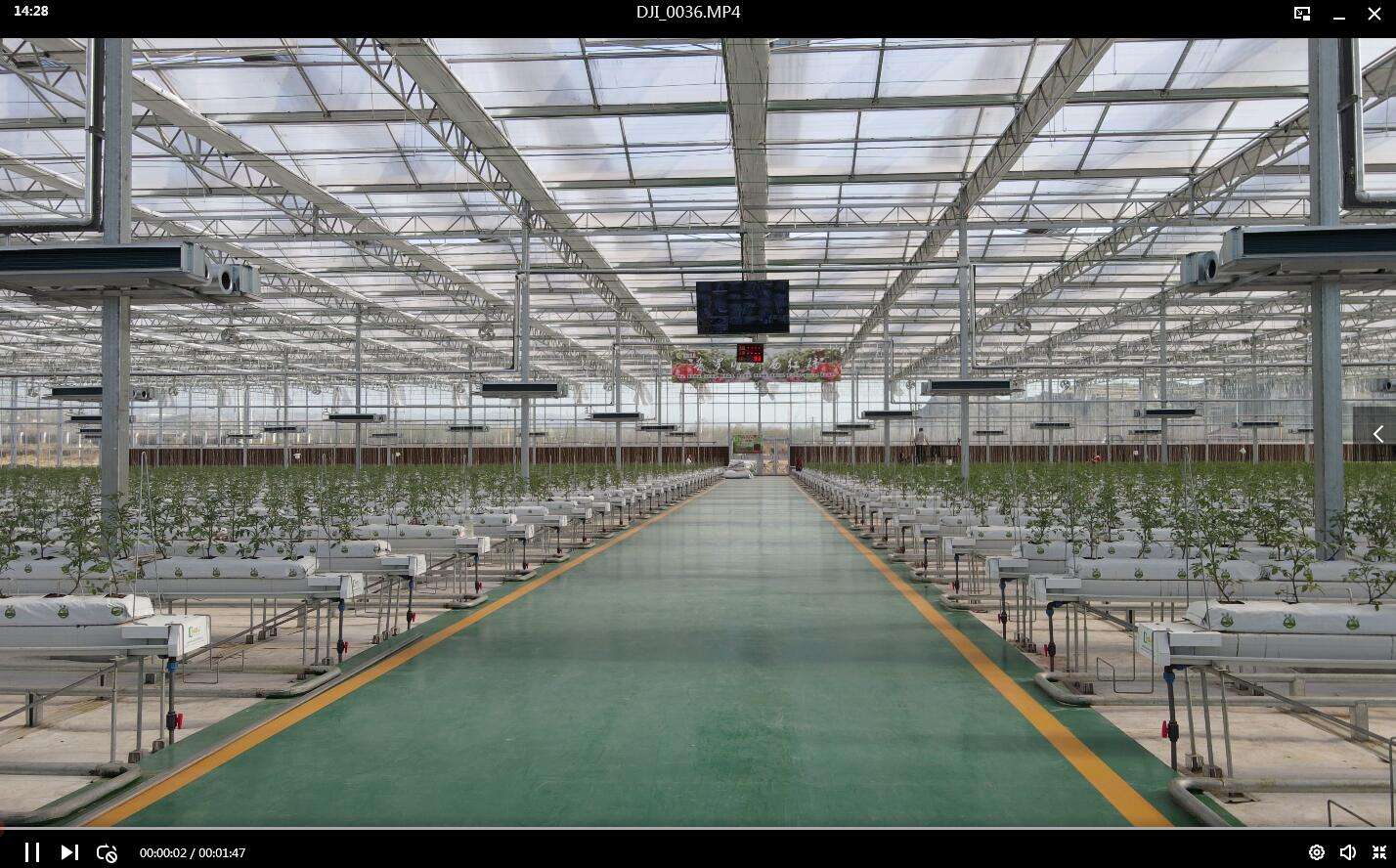 THE BENEFITS OF AN AUTOMATED GREENHOUSE IN COMMERCIAL GROWING