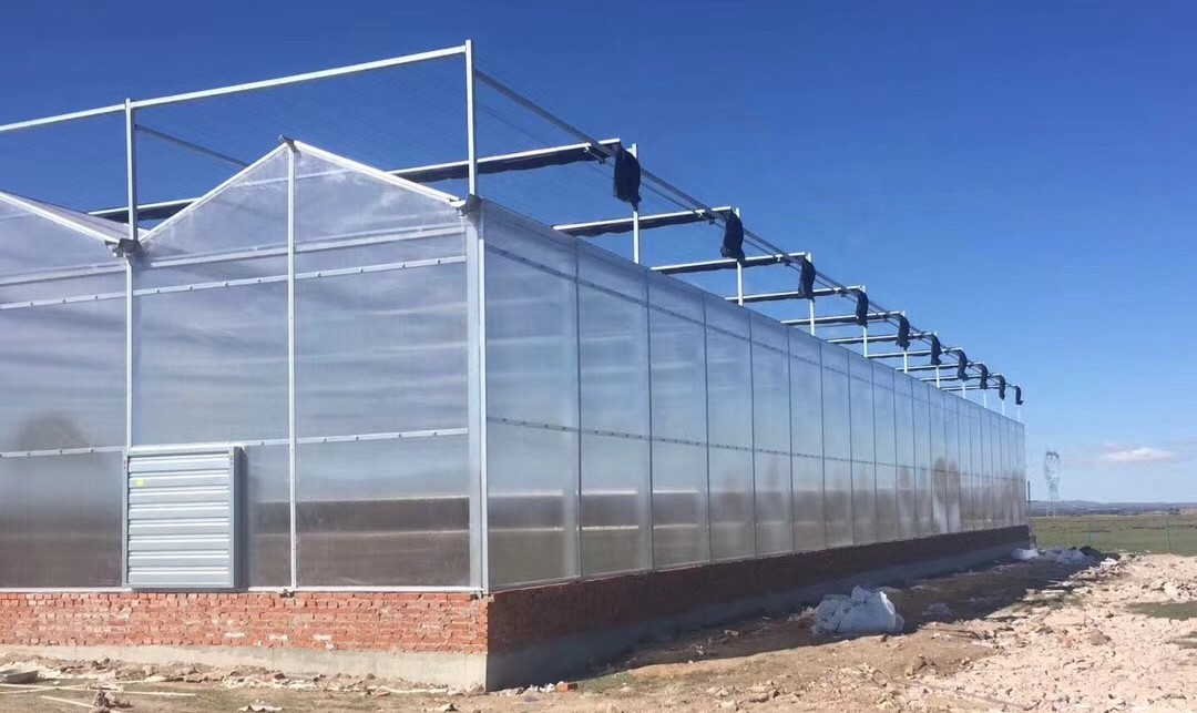WHY MORE GROWERS ARE CHOOSING POLYCARBONATE PANELS