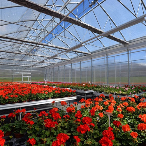 HOW TO BEST OPTIMIZE GREENHOUSE PRICE