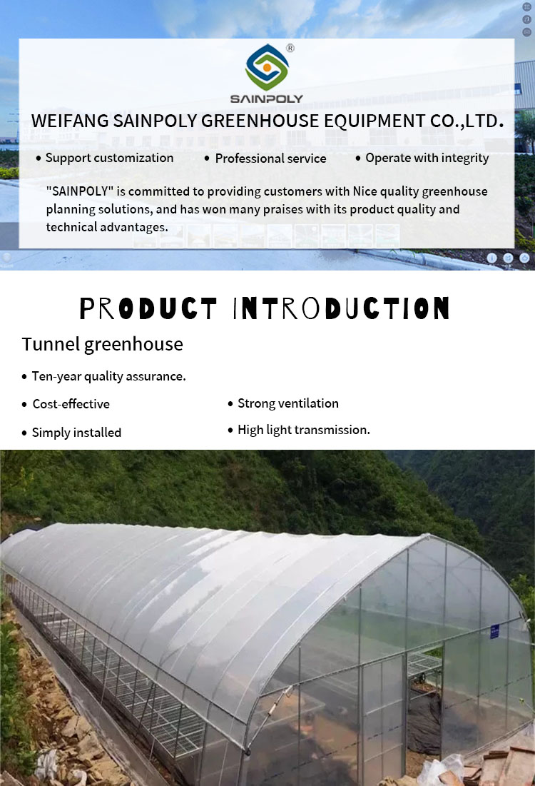 Invernadero de túnel de polietileno a la venta, diseño de 1 pieza, suministros de invernadero, invernadero de túnel alto para cultivo de plantas, marco de acero