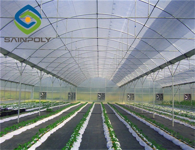 What are the key features and advantages of high-quality China tunnel film greenhouses for agriculture?