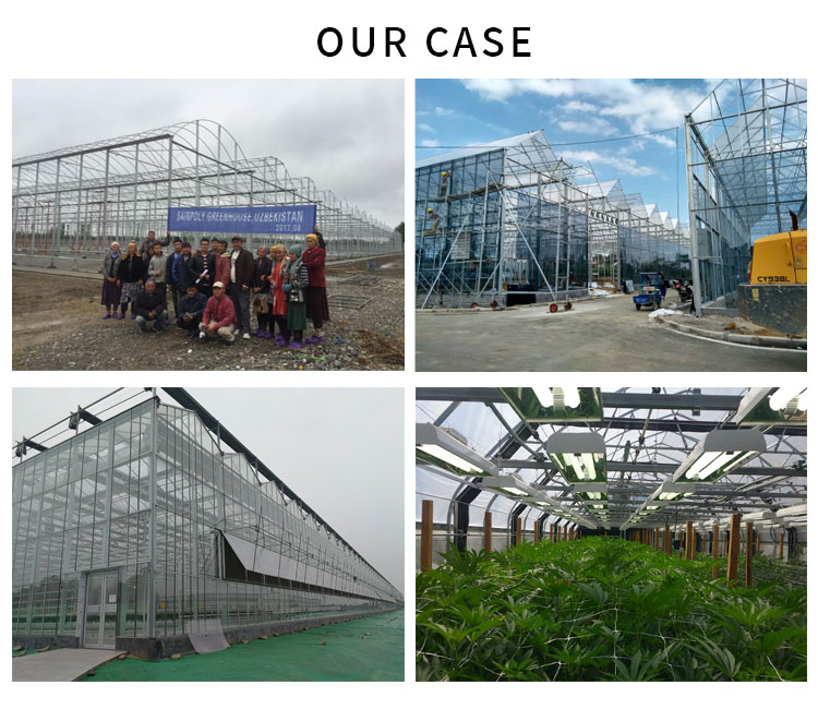 poly tunnel greenhouse for sale design 1 piece greenhouse supplies plant grow high tunnel greenhouse steel frame