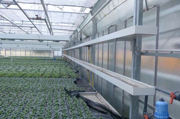 quality glass greenhouses for agriculture