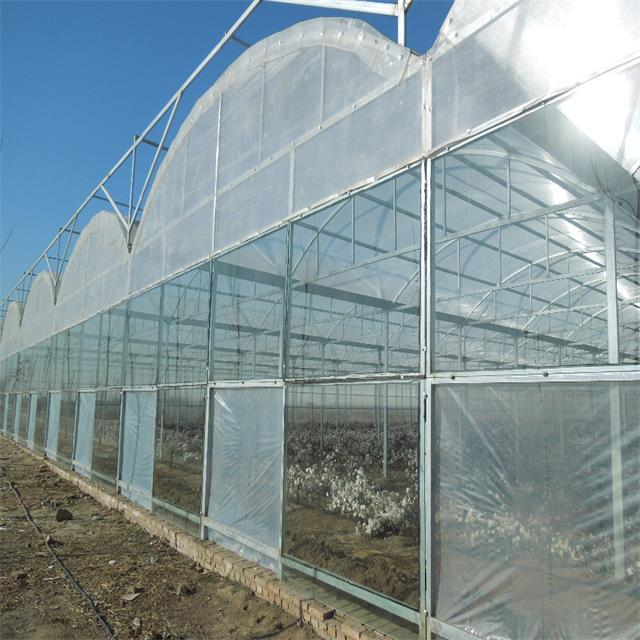 How can I find a reliable China-based supplier for simple tunnel greenhouses?