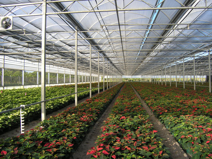 China commercial greenhouse manufacturers and suppliers