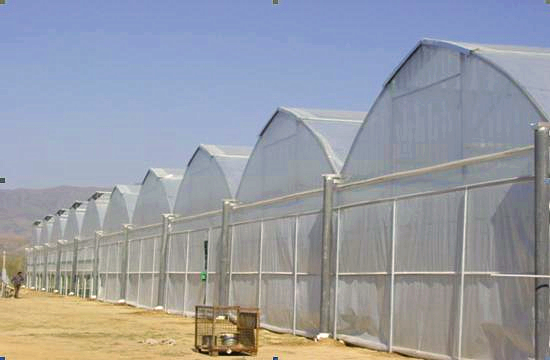 What are the benefits of using high-quality China plastic film greenhouses for crop cultivation?