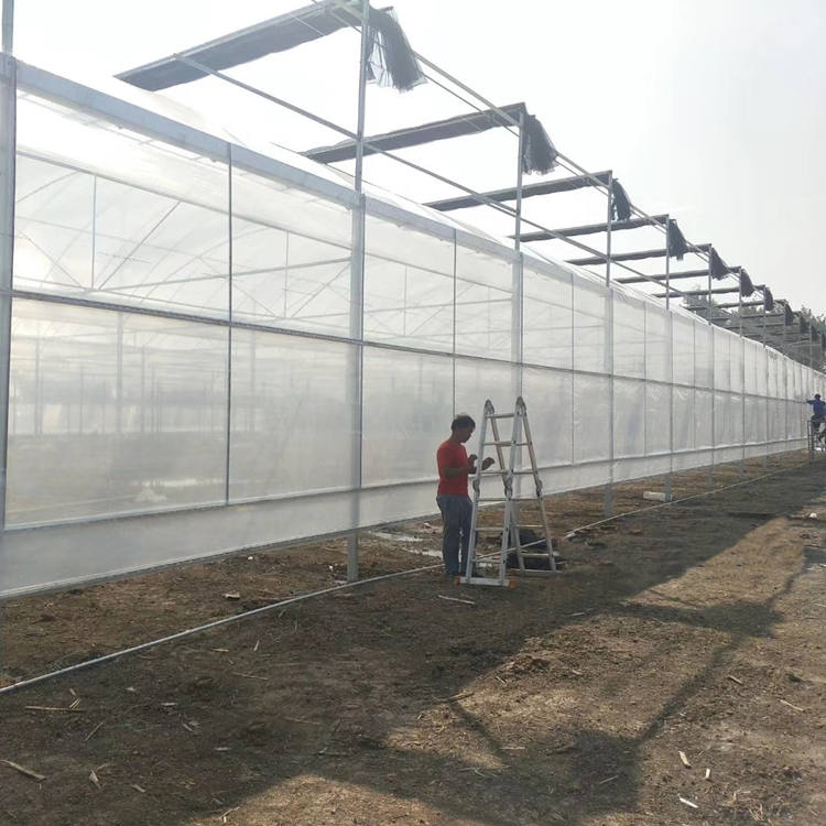 china excellent greenhouses manufacturer