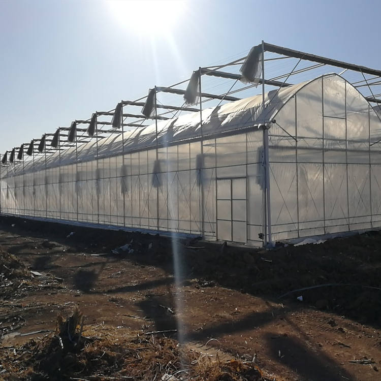 Wondering which popular film greenhouse to choose? This suits best