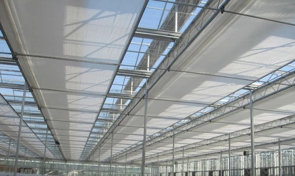 What are the benefits of using high-quality China plastic film greenhouses for crop cultivation?