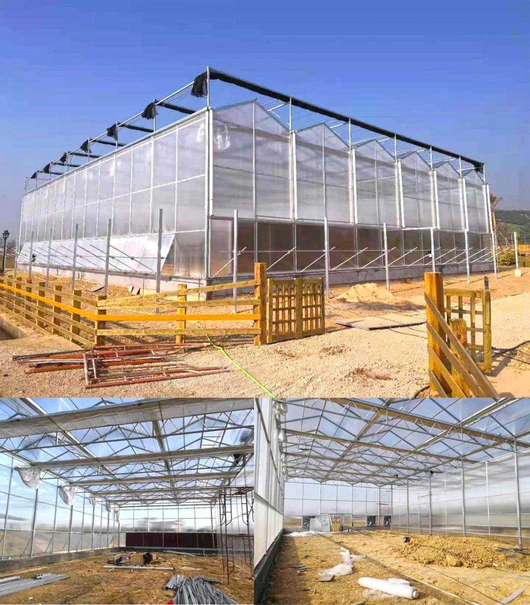 quality venlo polycarbonate greenhouse