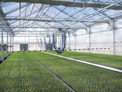 China pc greenhouse supplier: A better choice