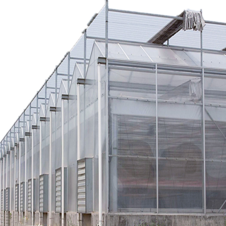 China pc greenhouse supplier: A better choice