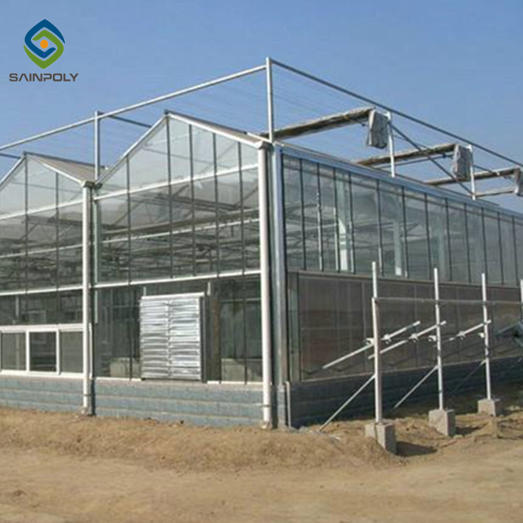 How China's Glass Greenhouses for Agriculture Drive Advancements in Crop Yields and Farming Practices？