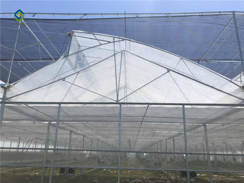 SAINPOLY UZ Large Greenhouse-2018.12