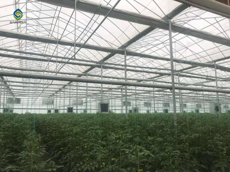 SAINPOLY UZ Large Greenhouse-2018.12