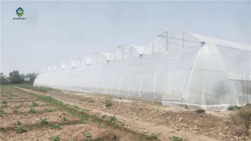 SAINPOLY Uzbekistan Simple Greenhouse-2019.5