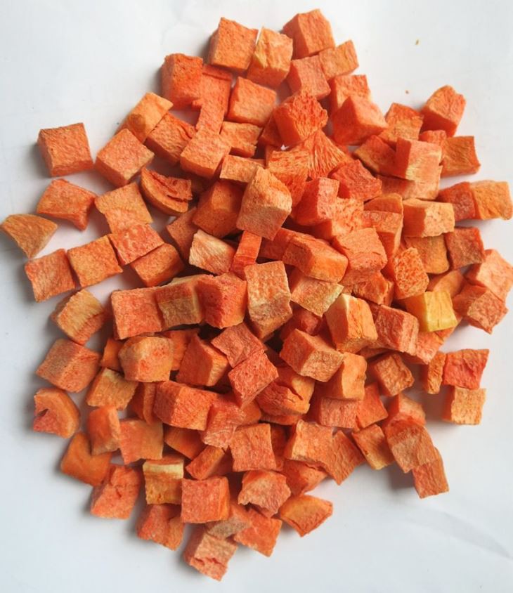 Freeze Dried Carrot