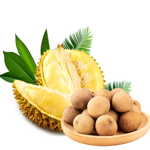 Freeze-dried Longan Durian Source manufacturer Freeze Dried Durian Fast Delivery New Promotion Hot Sale Customized Freeze Dried Durian Dice